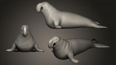 3D model Elephant Seal (STL)